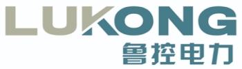 Shandong Lukong Electric Equipment Co Ltd
