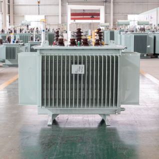 10kV Oil lmmersed Distribution Transformers